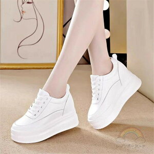  Xj[J[ fB[X [Jbg JWA gAbv s  zCg {v ꂢ C  אg Xj[J[fB[X ₷ uh ؍ y _bhXj[J