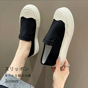 Xb| fB[X LoXV[Y tbg 3cm zV[Y y YbNC ~ tbgV[Y YbNV[Y JWAV[Y EhgD V[Y 