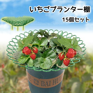 10個パック イチゴ植物サポート 再利用可能なイチゴ栽培スタンドホルダー 庭用 イチゴ栽培フレームホルダーケージ 防水 イチゴ栽培ラ