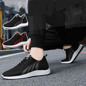 Xj[J[ Y jOV[Y y ʋC X|[cV[Y EH[LO  V[Y jp 10