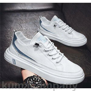 Xj[J[ Y IbNXtH[hV[Y JWA EH[LO C AEghA ʊw ʋ  am  t H tbg s