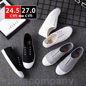 Xj[J[ V[Y C amC JWAV[Y X|[c  n 傫TCY  RȂ y IbNXtH[h z ʊw