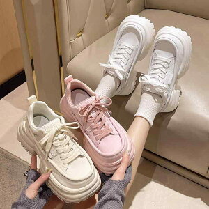 Xj[J[  fB[X Sc  XNGAgD I V[Y  sN _bhXj[J[ nCeNXj[J[ R [XAbv [Jbg ؍ x[W zCg 