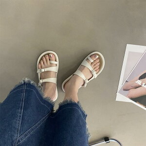 gOT_ fB[X r[T I 킢 T_ _u xg obN   F y^R Xbp r[`T_ ew O ꂢ JWA Ȃꊴ Eh