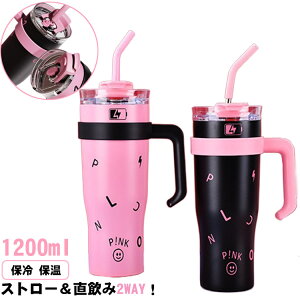 1.2L ۗ g[jO  XeX Xg[t ^fM ^u[ Wt 킢 ۉ ڂɂ e hNz_[ W[ AEghA Lv W v[g