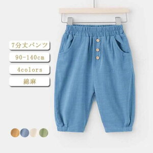 LbY 7 pc JWA 100 Ȗ ̎q {gX  ۈ牀  n[tpc Y{ ĕ xr[   [EFA qǂ EGXgS ct wZ n  140