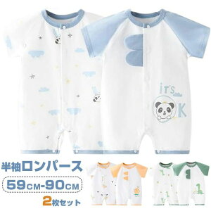 y2Zbgzxr[ p[X   Jo[I[  ̎q j̎q OJ |@ [΍ [EFA _炩 V ʋC Jo[I[ xr[ p[X i` 