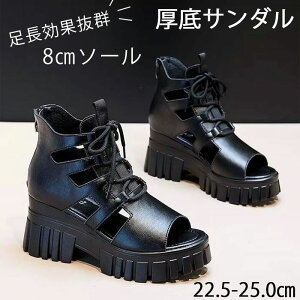 T_ fB[X ₷ OfBG[^[ T_ OfBG[^[T_ 8cm UP PUv ʋ ItBX gUP I[vgD T_ EGbW\[T_  ubN