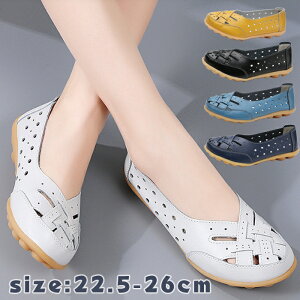 JV fB[X  {v ₷ Xb| Ȃ  ꂢ [t@[  _炩 L tbgV[Y lC r 傫TCY hCrOV[Y JWA h