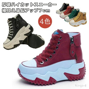 Xj[J[ fB[X  Cq[Xj[J[ r V[NbgV[Y nCJbgXj[J[ fB[X EH[LOV[Y [XAbv _bhXj[J[ ₷ 