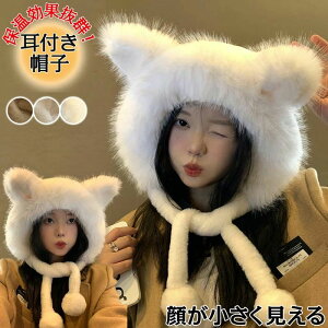 tXq fB[X Xq fB[X H~ t fB[X Xq  hXq Lbv fB[X ~pnbg fB[X Xq h h ۉ ʋC JWA Oo  ӂӂ