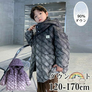 _ER[g q LbYj̎q _EWPbg 90%_E AE^[ LbY WPbgq 㒅 O g WjA y  O H~ h n   t[