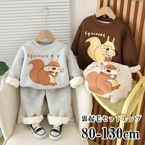 ZbgAbv LbY   N xr[ ̎q j̎q p[J[ Opc XEFbg q W[W ㉺Zbg X|[c ~ H XEFbg Ԃ   g