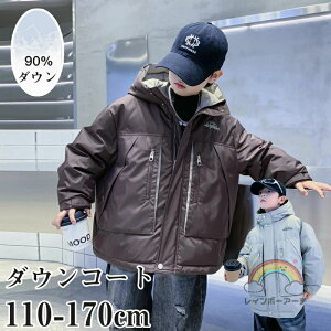 _ER[g q LbYj̎q _EWPbg 90%_E AE^[ LbY WPbgq 㒅 O g WjA y  O H~ h n   t[