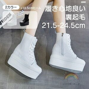 Xj[J[ ؍ Cq[ y  Xj[J[ nCJbgXj[J[   C TCY 傫TCY Ȃ wC ʊw Cq[Xj[J[IXj[J[ ₷