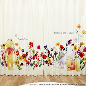 J[e ܂̃v[@t[ J[e@100cm 2 fBYj[ Disney@135cm 178cm 200cm@ 킢 ԕ