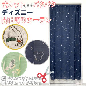 fBYj[ AR[fBIJ[e ̂ Jbgłp^p^ Ԏd؂ J[e g 100cm 180cm 250cm 2TCY