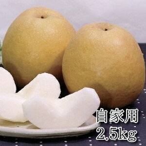 yzH2.5kgƗpɍœKIyiT[rXz11`{菇\蒹̔ӏH̖oy@񂹁zy{̗zykCEn͕ʓr500~z