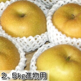 楽天市場 梨 しんかんせんの通販 楽天市場 梨 しんかんせんの通販