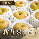 梨 新甘泉 鳥取 【鳥取県産 新甘泉（しんかんせん）】8月下旬より順次発送予定 【鳥取の旬のフルーツ「初秋」】【店長…
