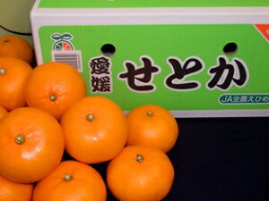 y蕨ɍœKzQ̊k`Ƃ5kg2{菇\