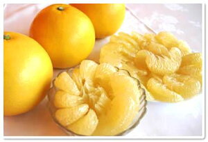 ɍœKIm̏{̉ʕyyŰɏizhюYܕU2kg2`{菇\ywszysz