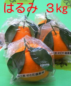 LƂRnutt͂݁vLu͂݁v݂3kg2{菇\L̏{̊ku͂݁vywszs̏iL