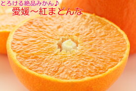 愛媛の旬のみかん紅まどんな【愛媛生まれのかんきつマドンナ】【お歳暮】【贈り物】12月上旬ごろより発送予定