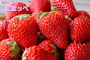 y̏{̈zgق䕂Ղ4pbNIC`Sy蕨ɍœKIzy₷䕁zy@񂹁z1{菇\yszywsz