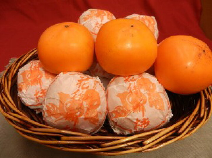 楽天市場 期間限定 数量限定の希少品 お歳暮 ご贈答に最適 鳥取の初冬の味覚 幻の甘柿 花御所柿５ｋｇ箱１１月末頃より順次発送予定 かき 取り寄せ 柿 取り寄せ フルーツまき