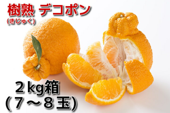 楽天市場 蒲郡産温室デコポン２kg箱 愛知県の旬の果物 樹熟でこぽん 進物に最適 不知火しらぬい４月上 中旬より順次発送 フルーツまき