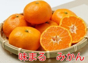 y̏{݂̂zȂCYu܂݂vMtgɍœK̐ԏGi5kgxZT[12xȏ11{菇\