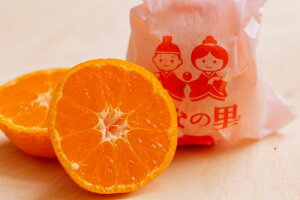 Q^݂yЂȂ̗zQ̉z~n݂1kgMtg15`18yԁz1{`2{