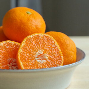 yƒpEpzLc݂ a̎RY݂񓜓x12xȏ̋ɊÂ݂YnE~MtgɍœKILc݂