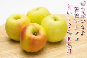 ܖ{̂߃Syܖ@񂹁z11{菇\