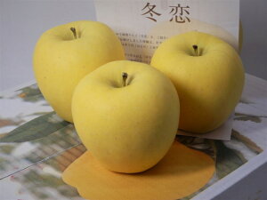 y~񂲁zYni2.5kg(6`10)12{菇\肢ď񂲁u͂邩vy茧~S 񂹁zyΕ@蕨zysz