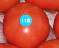 立久恵とまと島根産フルーツトマト11度500g【出雲フルーツトマト】ココロちゃんお試しに最適【高糖度トマ…