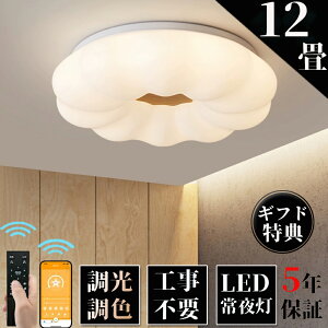 シーリングライト LED おしゃれ 調光調色 北欧 6畳 8畳 10畳 12畳 14畳 照明器具 省エネ シーリング照明 天井照明 リビング ダイニング 和室 洋室 シンプル 明るい カフェ リビング用 居間用 ダイ