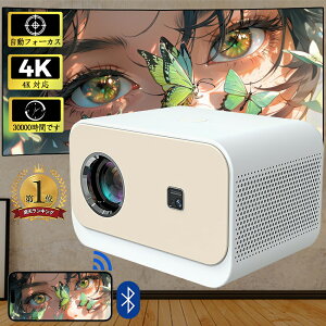 yAndroid TVځE掿zvWFN^[ ^ tH[JX 4KΉ Netflix ƒp 1080P 掿 ` \ 5G wi-fi 6 Ή z[VA^[ q  RpNg 4KrfIɓK z[
