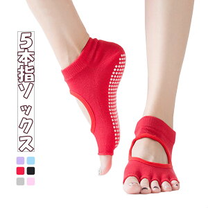 K\bNX KC K KEFA tBbglX pi AEghA N\bNX Kp \bNX _X ̑ ̊g[jO ~ 5{w C wȂ t[TCY fB[X 