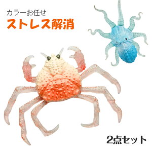 XNC[Y Zbg 2_Zbg Î ߋ  fidget toy XgX 珬 Jj ^R Cm U ObY m ii 킢  _炩 Lbg Mtg  