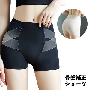  K[h ␳  K[h Ջ 1 ꖇ Y  ۂ肨 Ȃ K nCEGXg K[hV[c   qbvAbv  傫TCY ꂵ