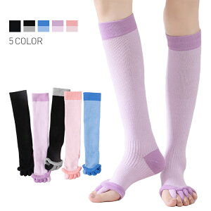 Zs[ \bNX O X[sO\bNX Zs[\bNX wSJ 5{w nC\bNX fB[X Y wT|[^[ T|[^[ O\h C ނ݉ tbV