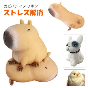 XNC[Y Jso Ck `L  XgX XNC[Y   P zbLNO} ObY u[  ii ߋ  fidget toy U ʔ 킢  ᔽ 