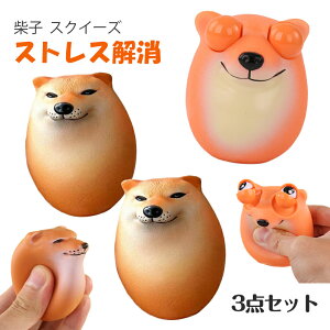 Č Ďq  3_Zbg  XNC[Y ܂ XgX ObY XgXU  pXNC[YGbO mߋ XgX ii  XNC[Y{[ 