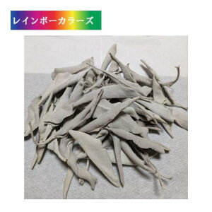 zCgZ[W 򉻗p 30g _ JtHjAY whitesage [t^Cv  n[u