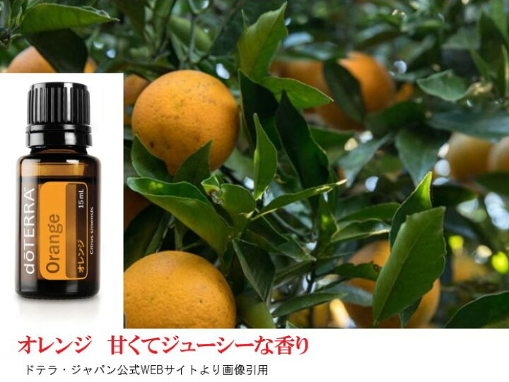 楽天市場】福袋 ドテラ アロマオイル オレンジ レモン ヒノキ 3点 