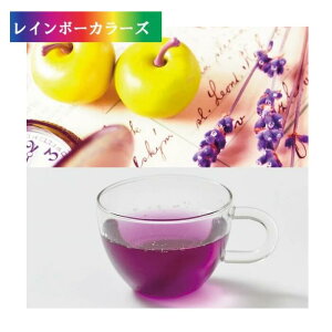 IWiuh x_[Abv eB[pbN MTCY 18 I[KjbN n[ueB o t[c t[o[eB[ ACXn[ueB[ Mtg v[g a  Ԃ 