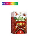 ゾネントア クリスマスカウントダウンのお茶 クリスマス カウントダウン プレゼント ティー オーガニック ハーブティー ブレンドティー ブレンドハーブティー（24袋）