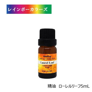 _10%OFF^ TA} [[t q[OA}  QbPCW j GbZVIC Sayuaroma A}̂炵 XpCV[ XbL tbV